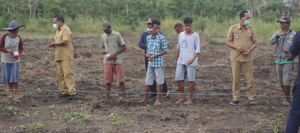 Bupati Sumba Tengah Launching Penanaman Jagung Food Estate Di Malinjak