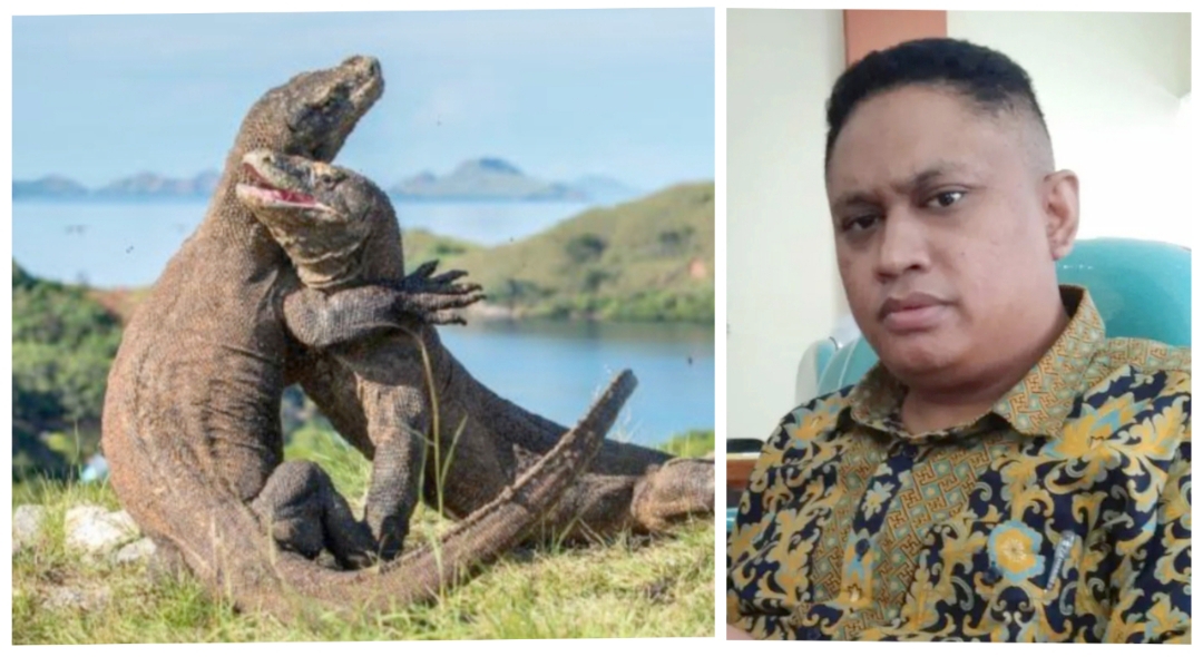 Golkar Sebut Pemprov NTT Jangan Gegabah Tetapkan Tarif Masuk Pulau ...